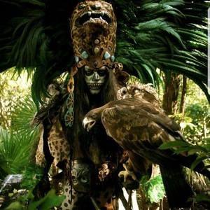 Meet your Posher, Adolfo